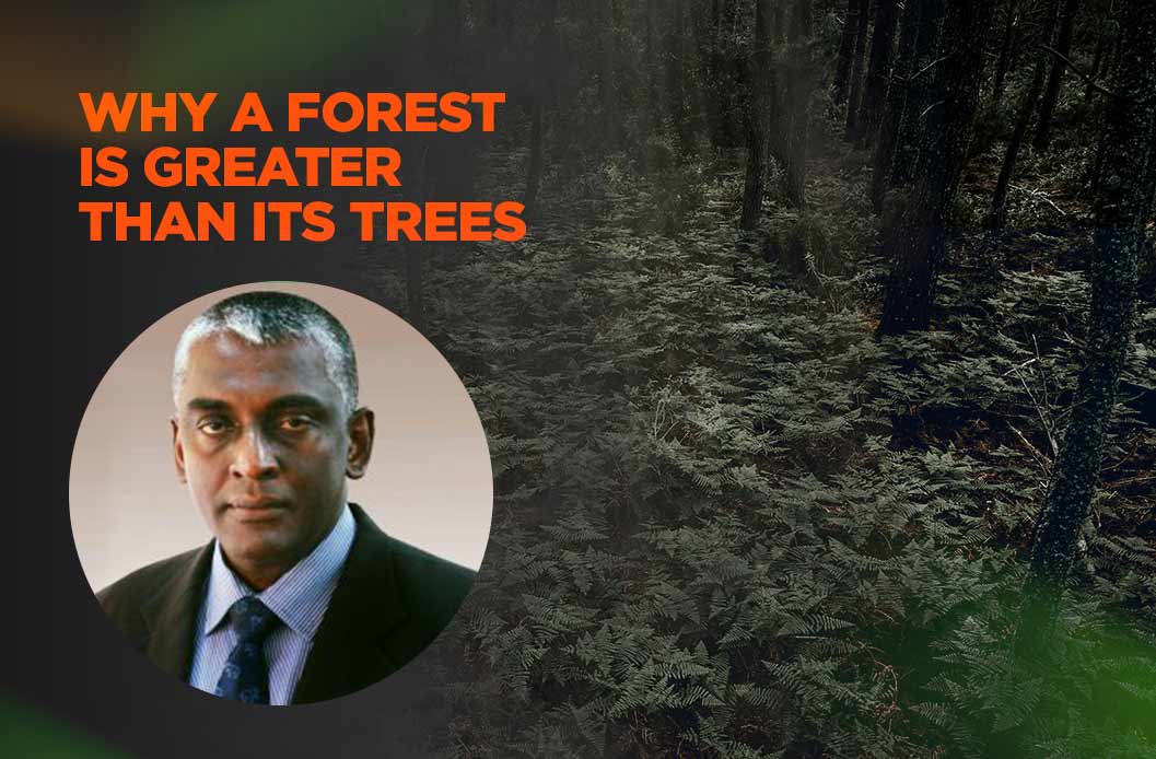Why a forest is greater than its trees – 48 mins